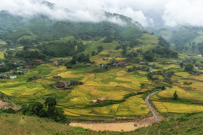 environment