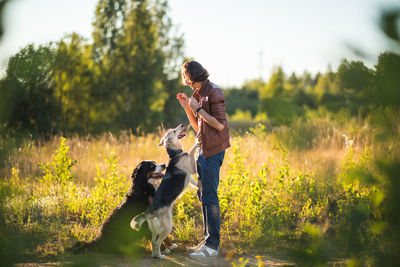 Rear view of dog standing on field