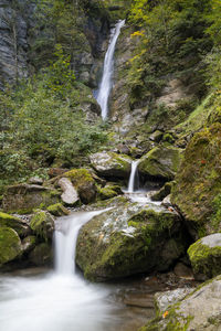 Scenic view of waterfall in forest