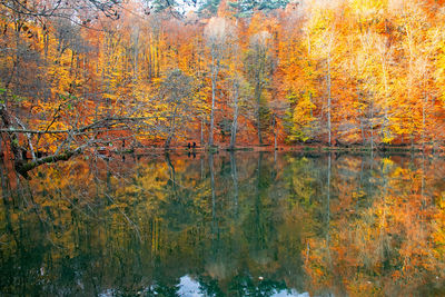 Reflection of trees in lake during autumn