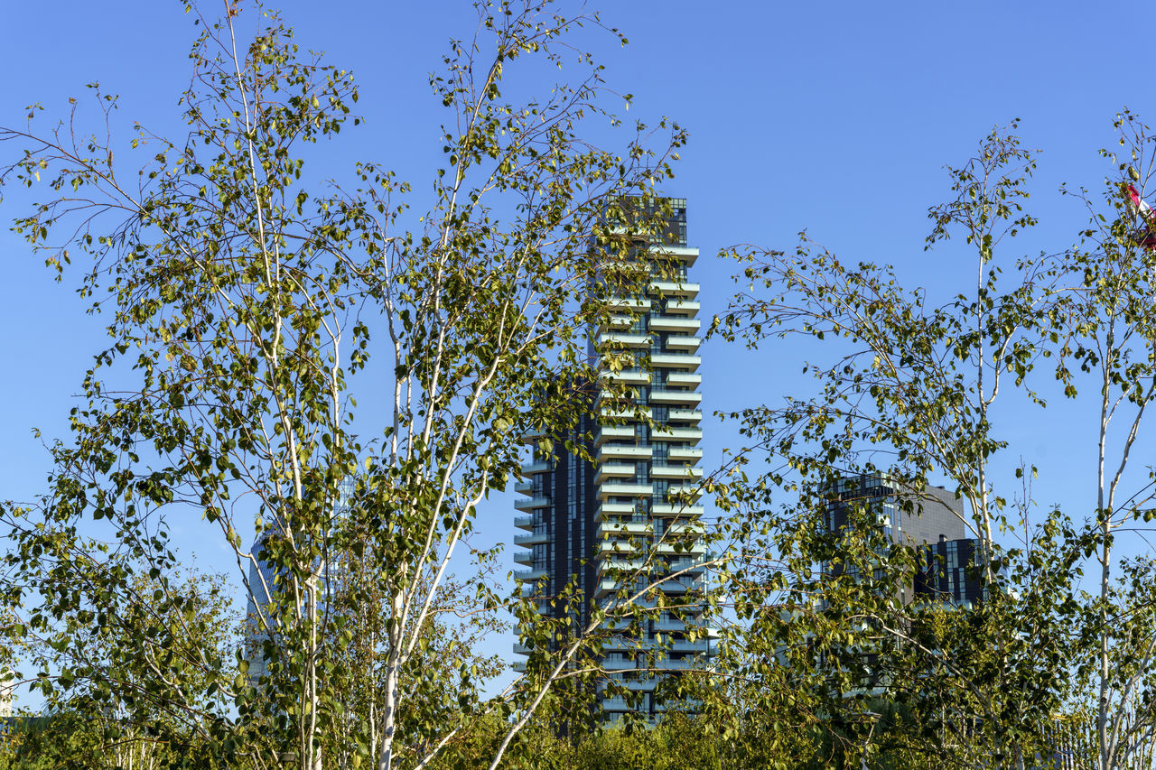 LOW ANGLE VIEW OF TREES AND BUILDING AGAINST BLUE SKY