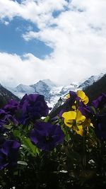 Scenic view of landscape against cloudy sky