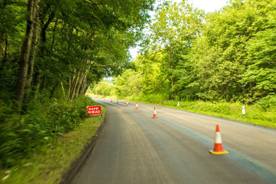 Cars on road by trees