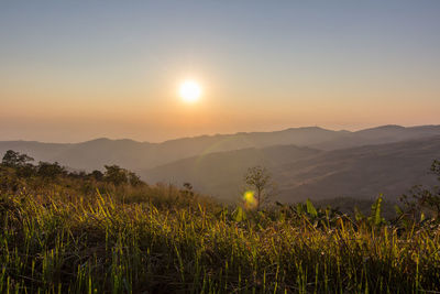 Morning scenery from phu lomlo viewpoint,phitsanulok, thailand.