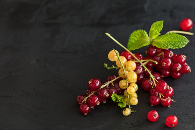 Red and yellow current berries on dark background