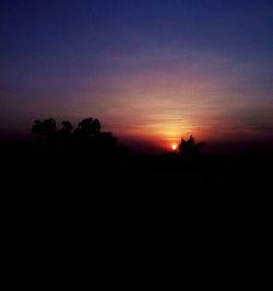 Silhouette trees at sunset