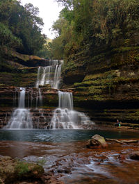 Scenic view of waterfall in forest