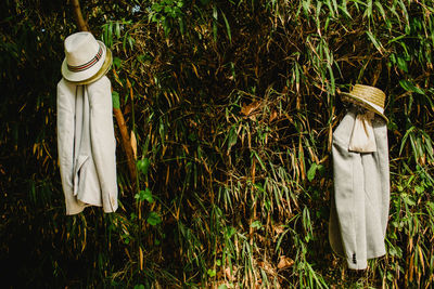 Coats with hats hanging on trees