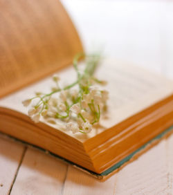 High angle view of food on table