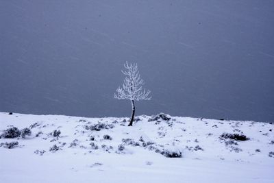 Scenic view of snowy field during winter