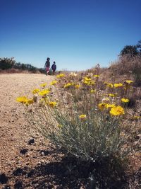 Person sitting on yellow flowers on field against sky