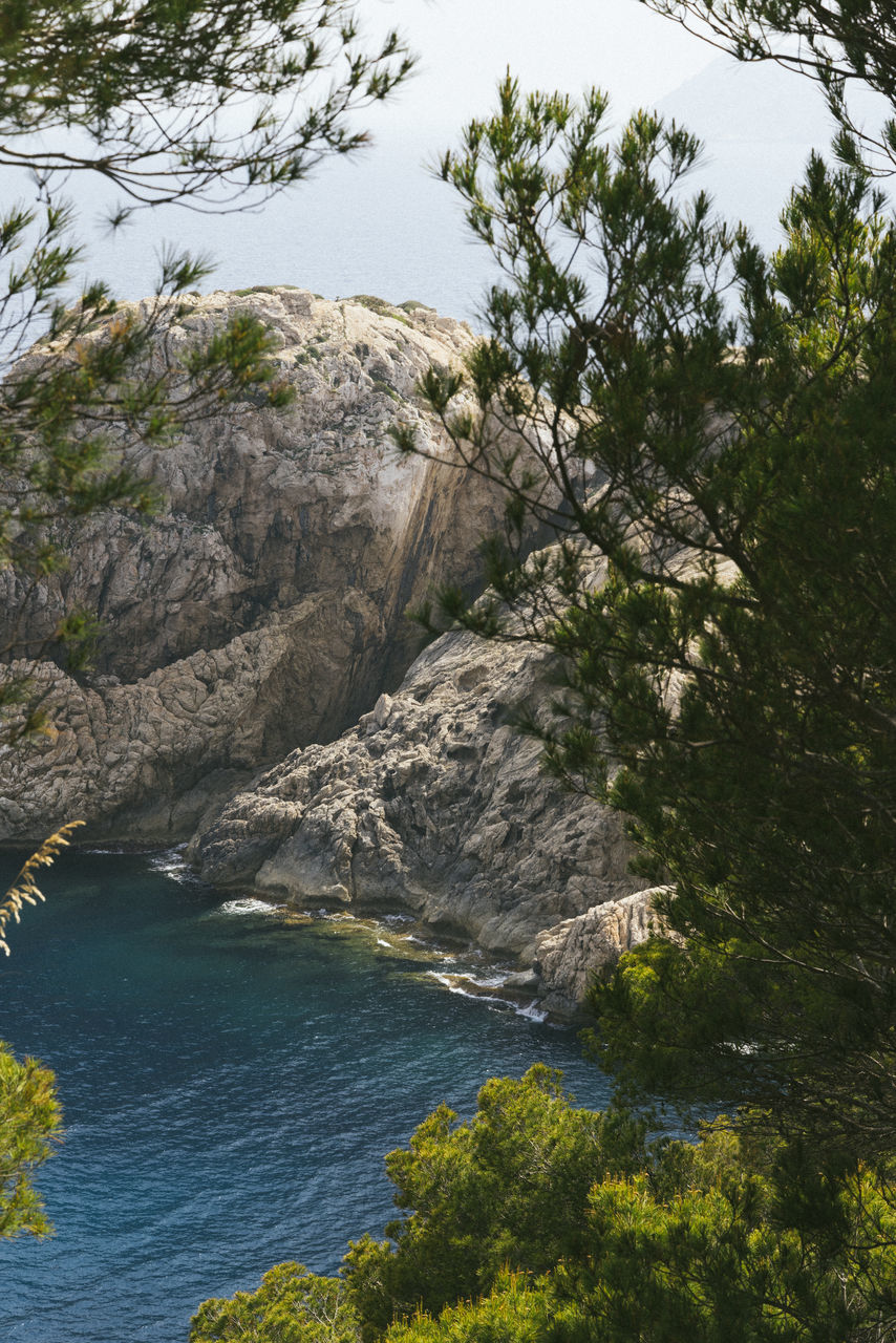 water, plant, tree, beauty in nature, nature, scenics - nature, land, coast, sea, tranquility, no people, rock, day, tranquil scene, non-urban scene, cliff, environment, mountain, outdoors, landscape, wilderness, travel destinations, beach, body of water, travel, pinaceae, forest, idyllic, growth, high angle view, coniferous tree, pine tree, sky, terrain, tourism, coastline, green, shore, rock formation