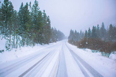 Snow covered road amidst trees against sky