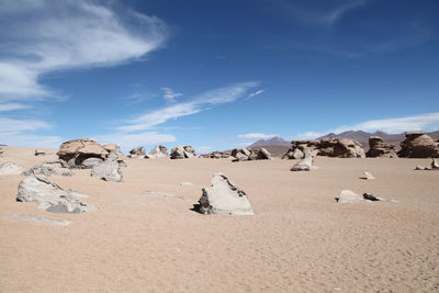 View of desert landscape