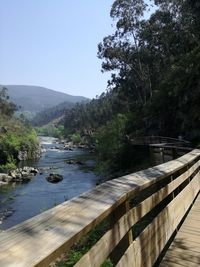 Scenic view of river in forest against clear sky