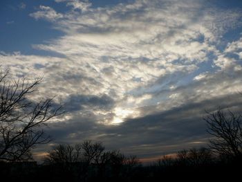 Low angle view of silhouette trees against sky at sunset