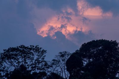 Low angle view of silhouette trees against sky at sunset