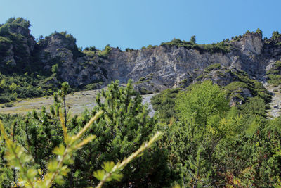 Scenic view of landscape against clear sky