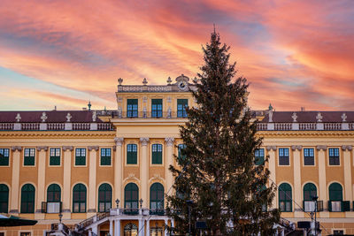 Schönbrunn palace and its christmas tree at sunset. 