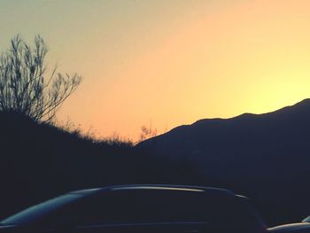 Silhouette of trees at sunset