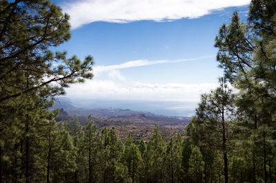 Scenic view of tree mountains against sky