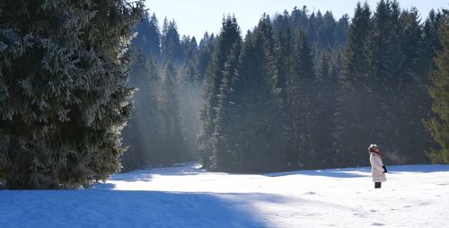 Rear view of man skiing on snow covered landscape