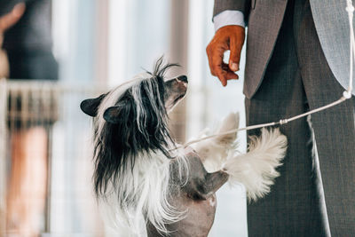 Midsection of well-dressed man with dog standing at home