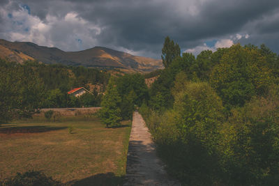 nature