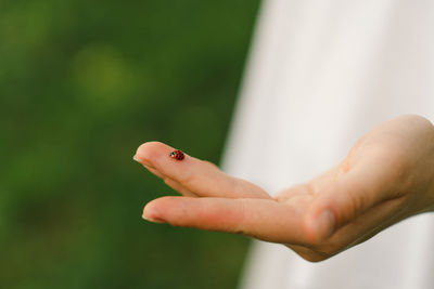 Girl on the background of a green field looking at a ladybug on her finger