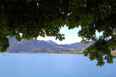 Scenic view of lake by trees against sky