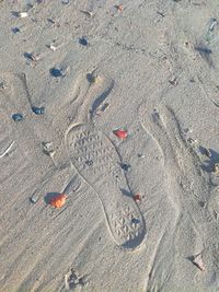 High angle view of footprints on sand