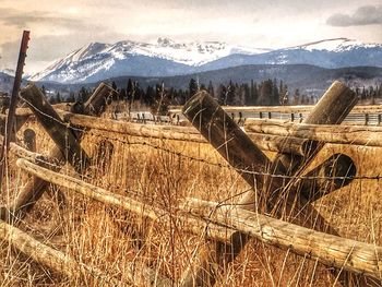 Landscape with mountain range in background