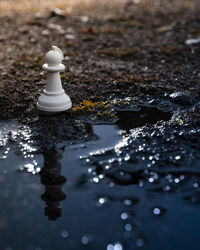 Full frame shot of chess pieces in puddle