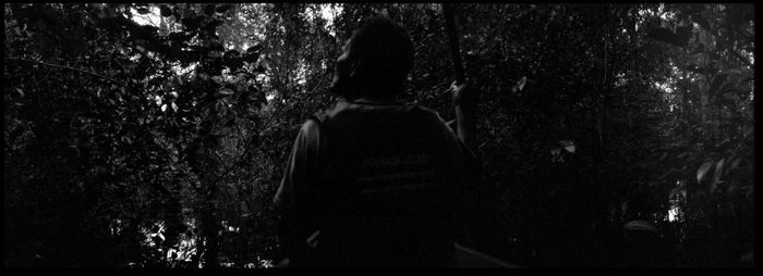 Rear view of people standing in forest