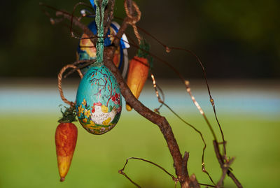 Close-up of easter egss hanging on branch