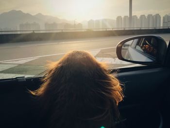 Rear view of dog sitting in car