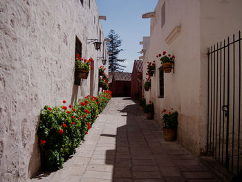 Narrow alley amidst buildings in city