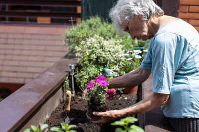 Elderly woman planting flowers in her small terrace garden