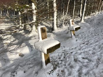 Snow covered trees