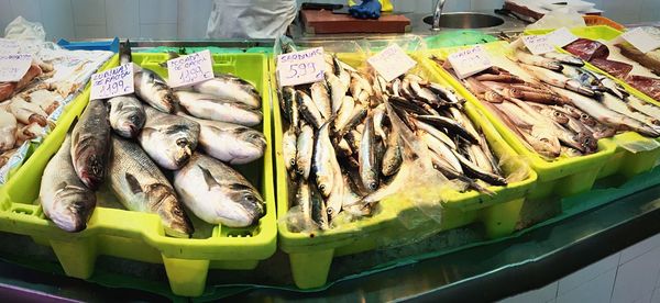 Fish for sale at market stall