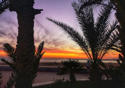 Silhouette palm trees by sea against romantic sky at sunset