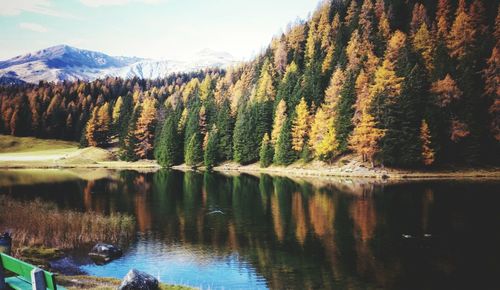 Scenic view of lake by trees against sky