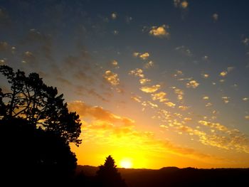 Silhouette of trees against sky during sunset