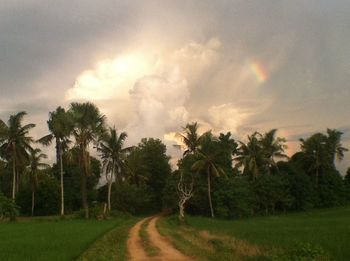 Scenic view of landscape against cloudy sky