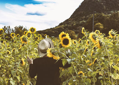 Rear view of woman standing in field