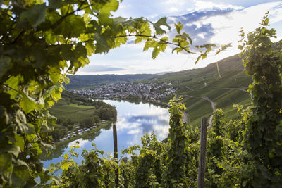 Scenic view of green landscape against sky