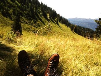 Low section of person standing on field