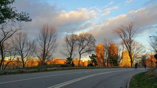 Empty road with trees in background