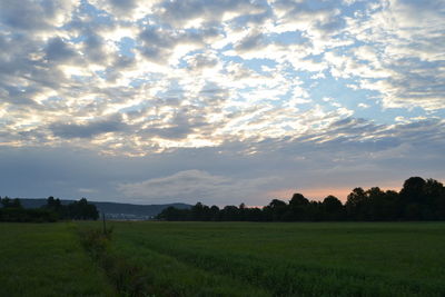 Scenic view of field against sky during sunset