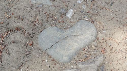 High angle view of pebbles on field